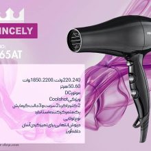 سشوار پرنسلی مدل PR265 AT مشکی